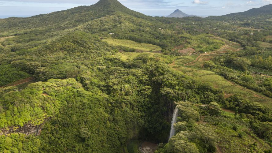 Les hauteurs du parc national de Black River regorgent de végétation luxuriante