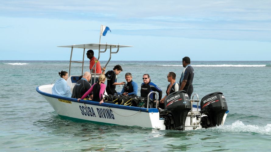 Plonger dans l’Aquarium - Ouest