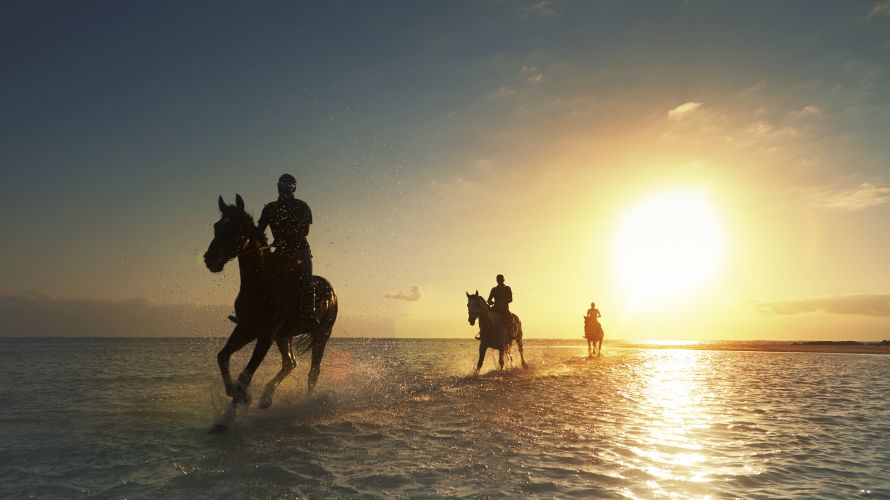 Équitation