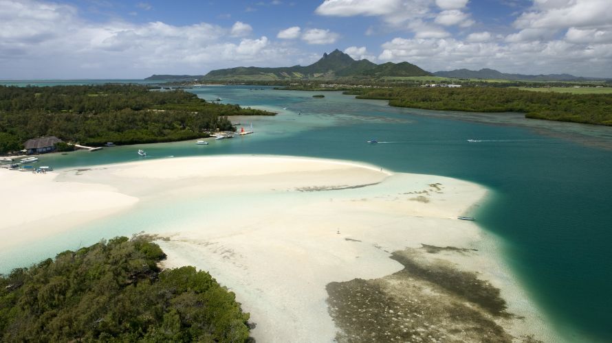 La belle réserve naturelle de l'île aux Aigrettes abrite de nombreuses espèces animales et végétales menacées