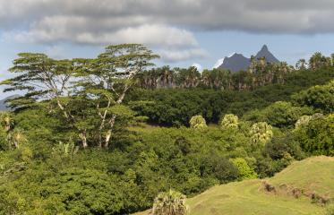 Pourquoi l'Île Maurice?